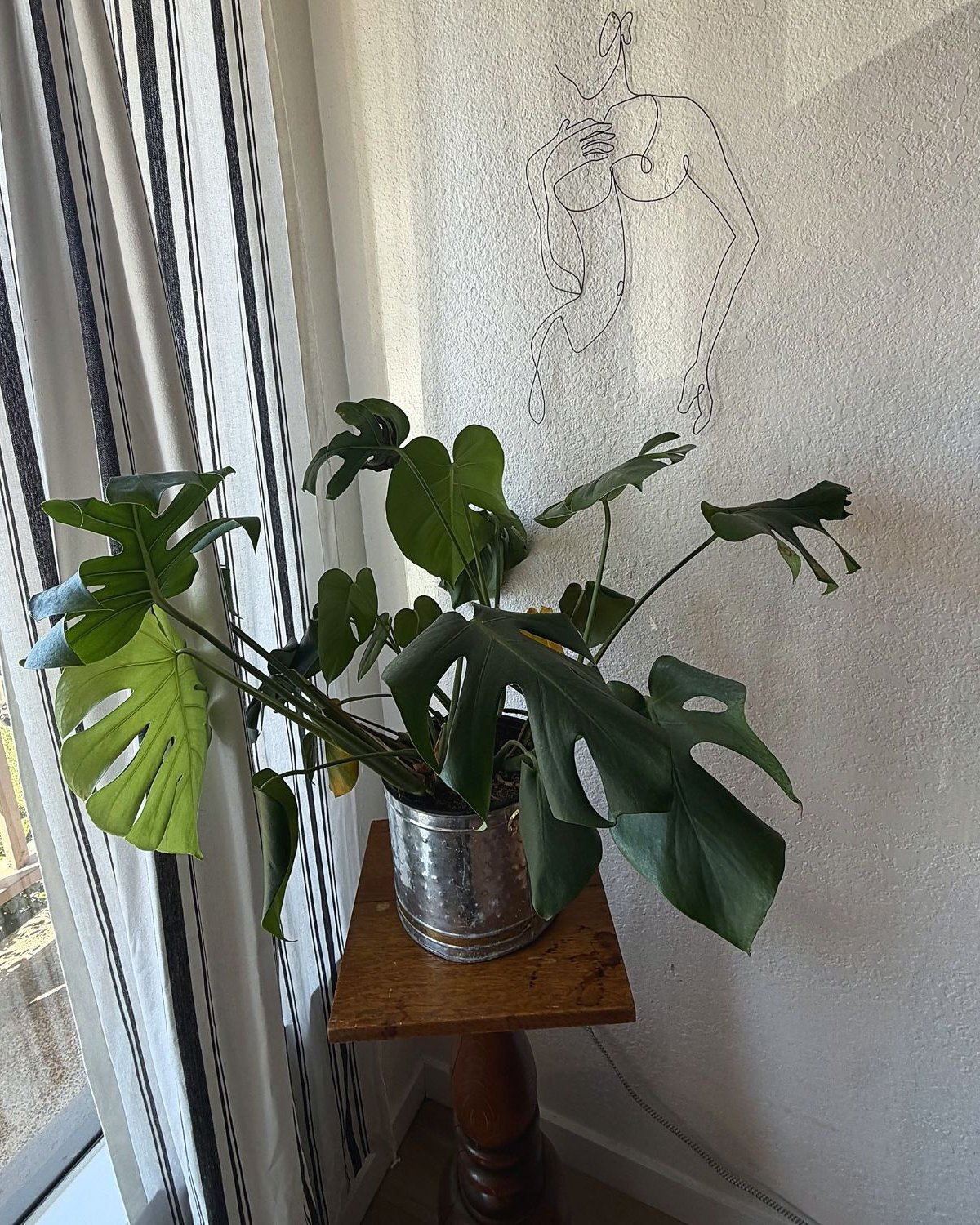 Monstera and line art in the Highbrow studio